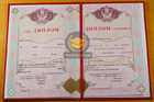 Специалист 2009-2026 с отличием