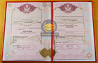 Бакалавр 2009 - 2026 с отличием