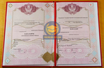 Бакалавр 2009 - 2026 с отличием