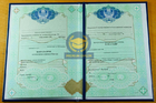 Бакалавр 2009 - 2026