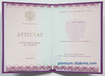 Аттестат 9 классов 2014-2026